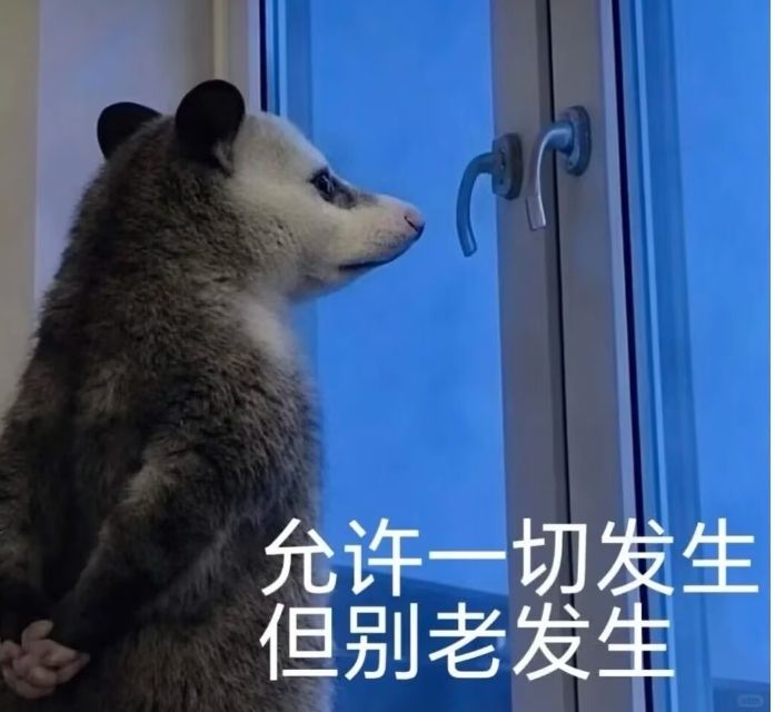 步六孤的工作环境